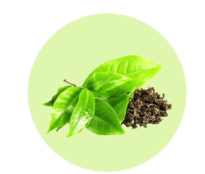 Tea Leaves